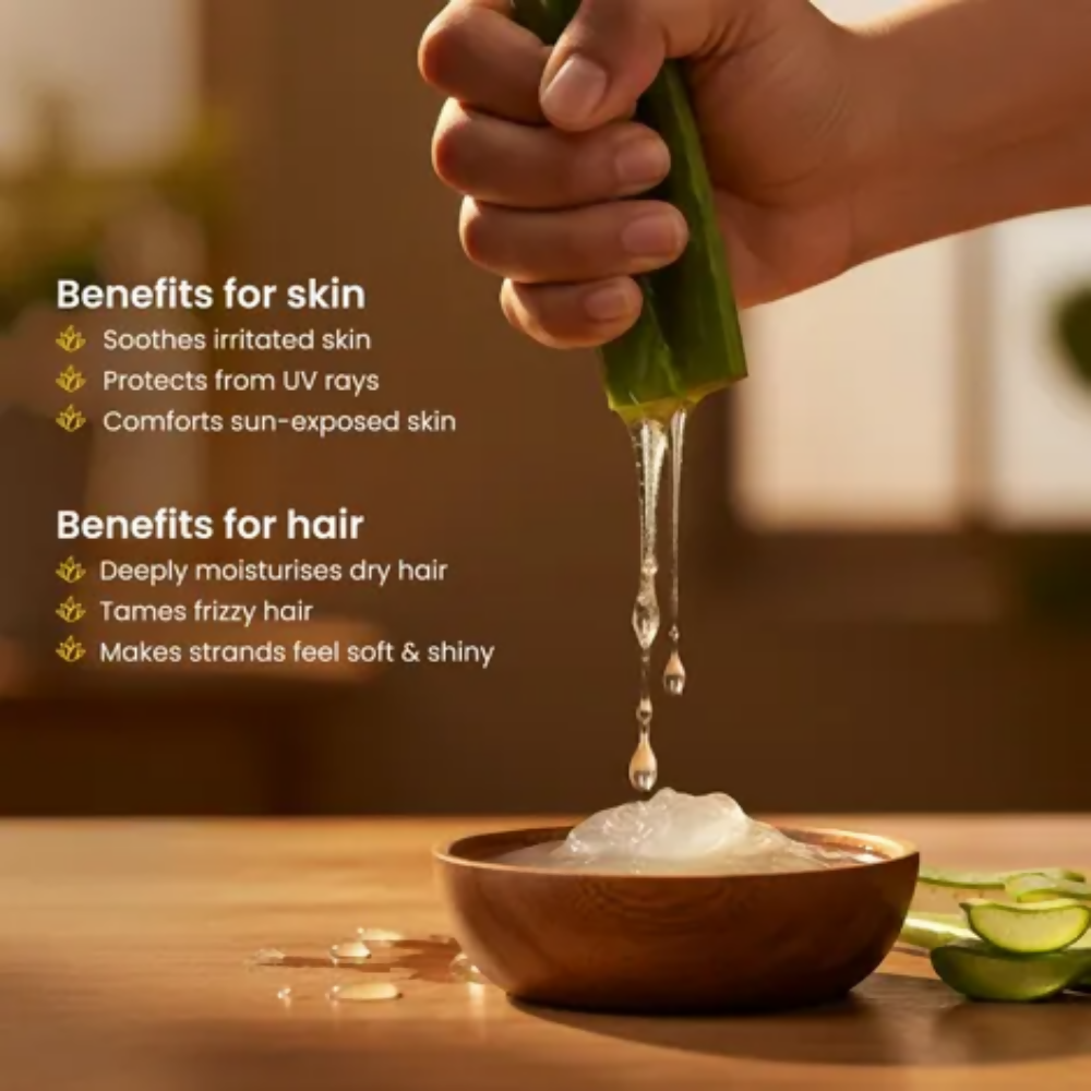 Alps Goodness Aloe Vera Gel | Grocsy