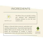 Mystique Earth Silk Serum Body Lotion | Grocsy