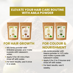 Wild Organic Amla Powder Natural Hair Growth | Grocsy
