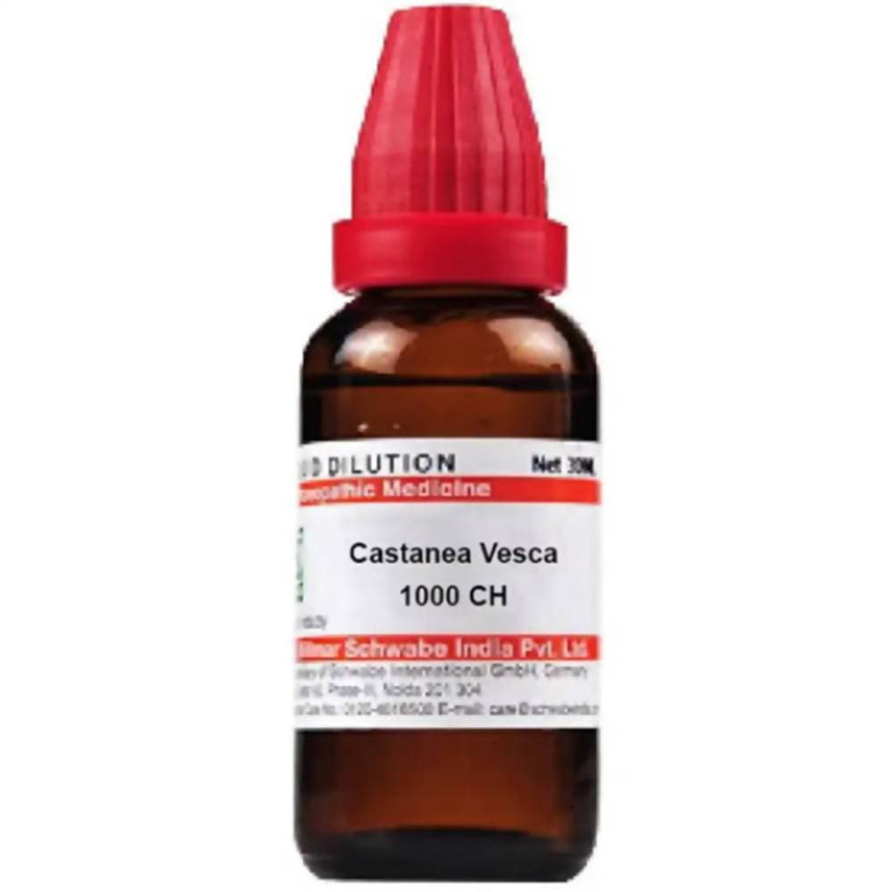 Dr. Willmar Schwabe India Castanea Vesca Dilution | Grocsy