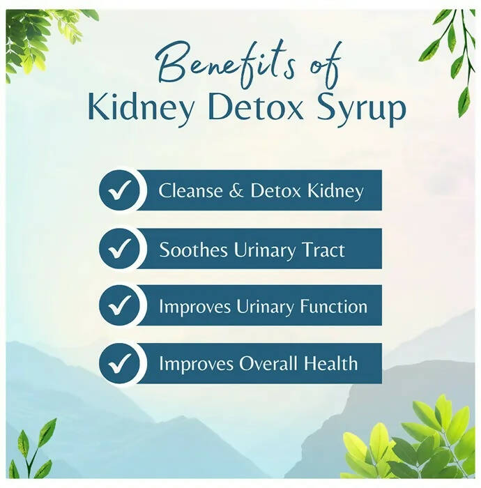 Vaidyacure Kidney Detox Syrup | Grocsy