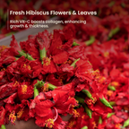 Nat Habit Five Oil Hibiscus Nutri-Conditioner | Grocsy