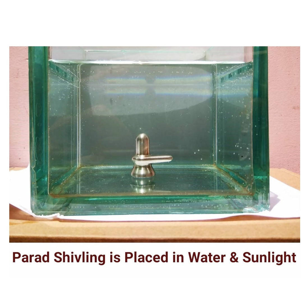 ‎G.S Rana Parad Shivling (50 Gram) Parad Shivling (29 mm) | Grocsy