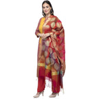 A R Silk Women's Vanarsi Silk Zari Embroidery With Rainbow Colour Multi Rainbow Fancy Dupatta | Grocsy