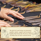 Confect Vanilla Beans | Grocsy