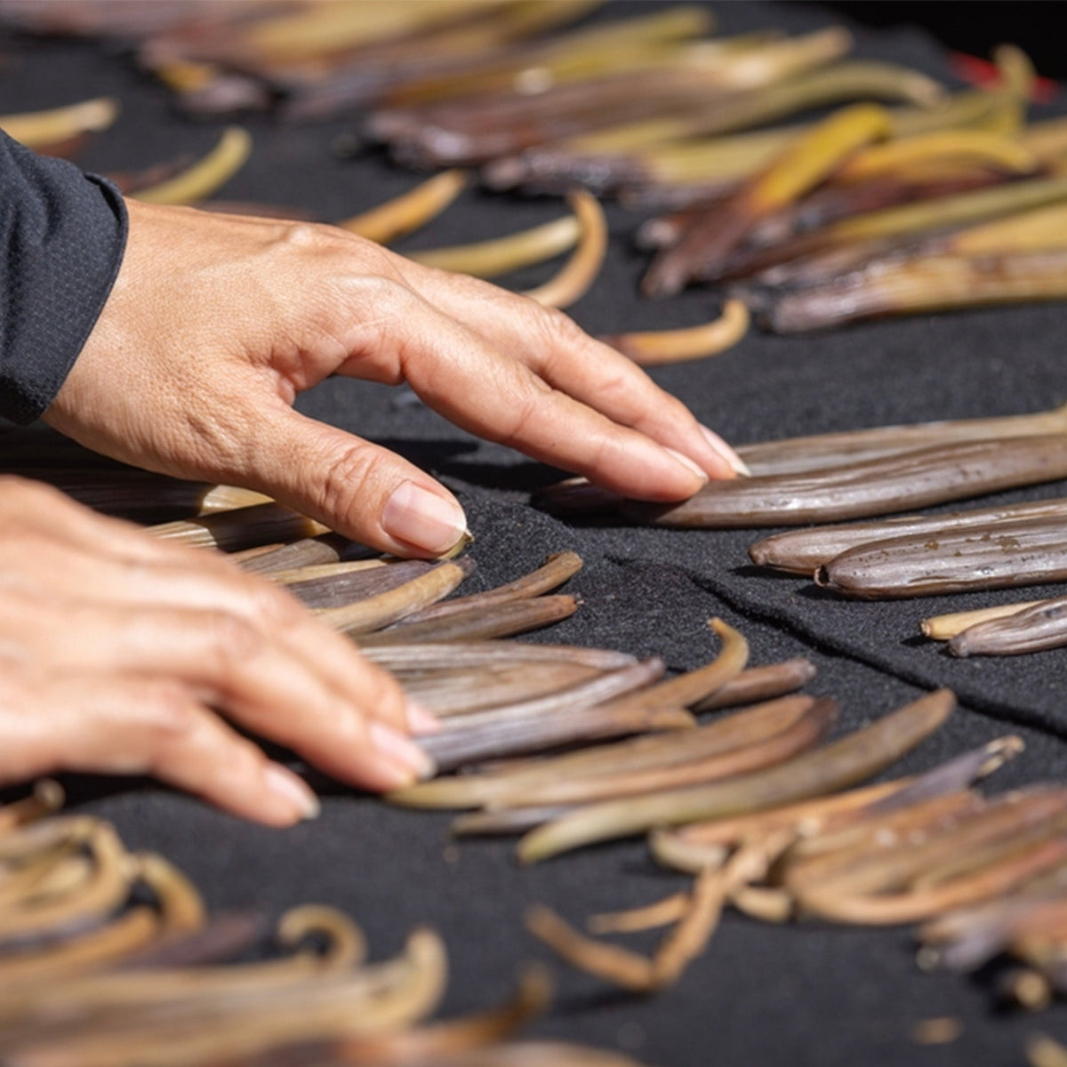 Confect Vanilla Beans | Grocsy