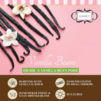 Confect Vanilla Beans | Grocsy
