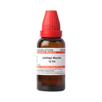 Dr. Willmar Schwabe India Ustilago Maydis Dilution | Grocsy