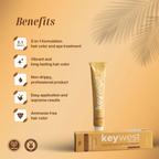 Keywest Professional Hair Color Tube - No. 2 Darkest Brown | Grocsy
