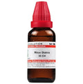 Dr. Willmar Schwabe India Rhus Glabra Dilution | Grocsy