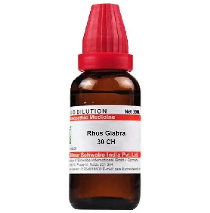 Dr. Willmar Schwabe India Rhus Glabra Dilution | Grocsy