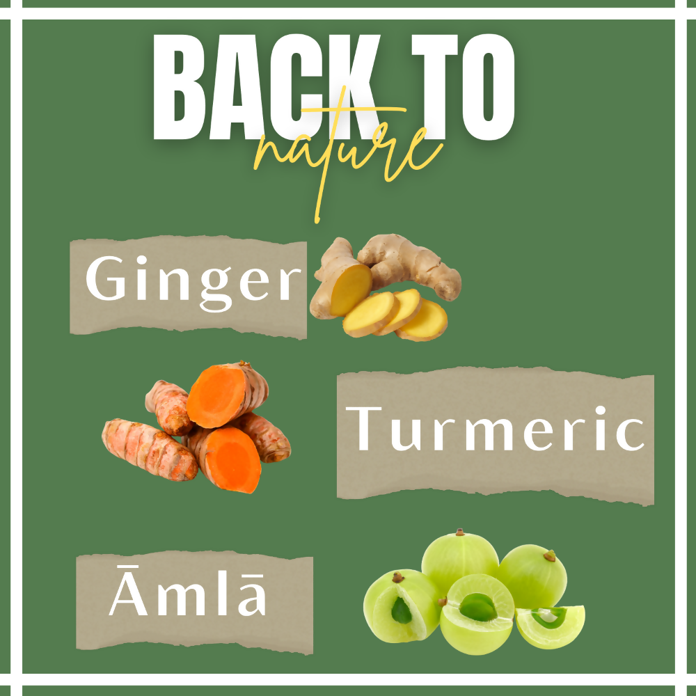 Satvi Wellness Turmeric Ginger Amla Tea| Turmeric Tea| Ginger Tea| Amla Tea | Herbal Tea | Grocsy