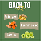 Satvi Wellness Turmeric Ginger Amla Tea| Turmeric Tea| Ginger Tea| Amla Tea | Herbal Tea | Grocsy