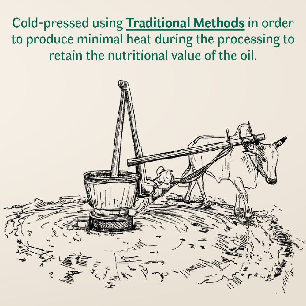 Vediko Origins Black Mustard Oil | Grocsy
