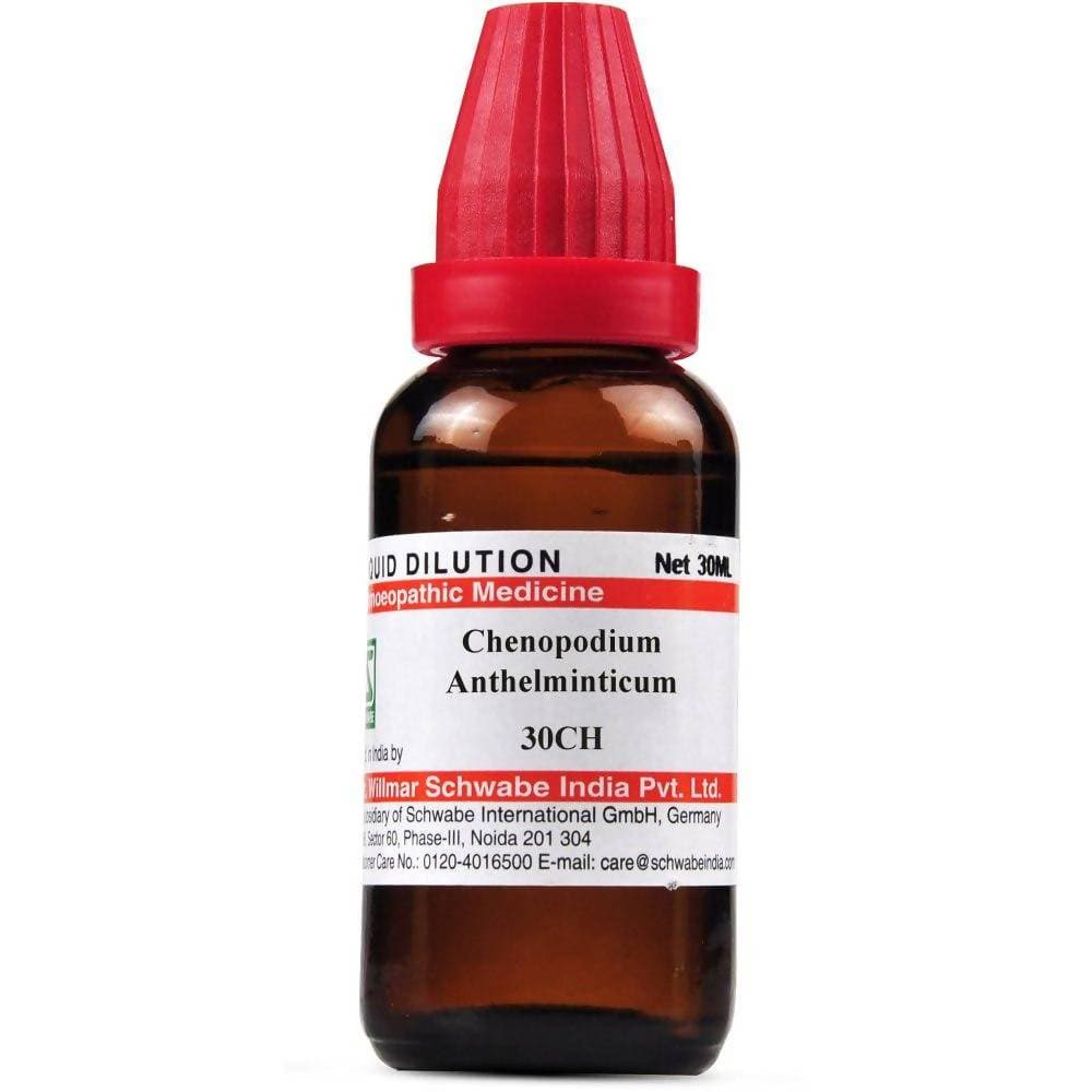 Dr. Willmar Schwabe India Chenopodium Anthelminticum Dilution | Grocsy