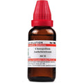 Dr. Willmar Schwabe India Chenopodium Anthelminticum Dilution | Grocsy