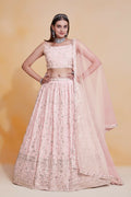 Skyblue Georgette Zari,Sequence Embroidery Work Lehenga Choli - Jihu Culture | Grocsy