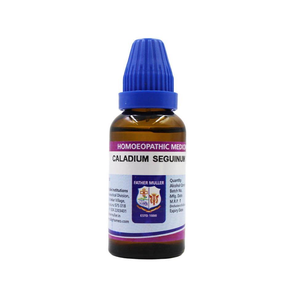 Father Muller Caladium Seguinum Dilution | Grocsy