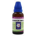 Father Muller Ornithogalum Umbellatum Mother Tincture Q | Grocsy