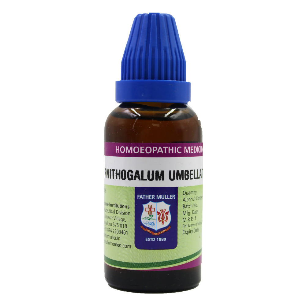 Father Muller Ornithogalum Umbellatum Mother Tincture Q | Grocsy