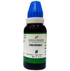 Hering Pharma Jaborandi Mother Tincture Q | Grocsy