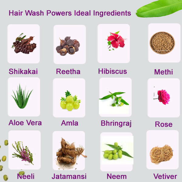 DevElixir Shikakai Hair Wash Powder | Grocsy