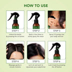 Botanic Hearth Rosemary Rice Water Spray for Hair Growth | Grocsy