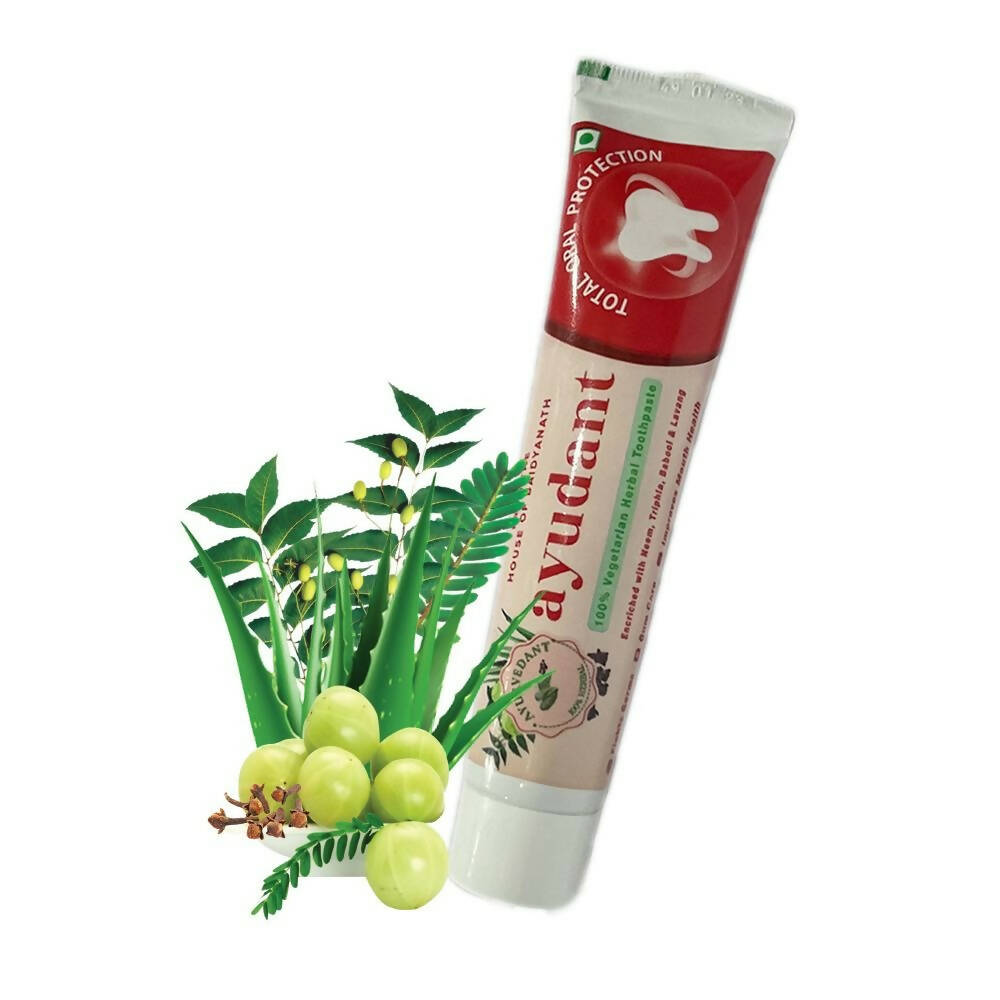 Baidyanath Jhansi Ayurvedant Ayudant Toothpaste | Grocsy