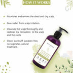 Glamveda Tea Tree Shampoo | Grocsy