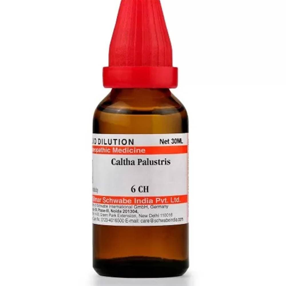 Dr. Willmar Schwabe India Caltha Palustris Dilution | Grocsy