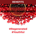 Nykaa Skin Secrets Exotic Indulgence Acai Berry + Pomegranate Sheet Mask For Youthful Skin | Grocsy