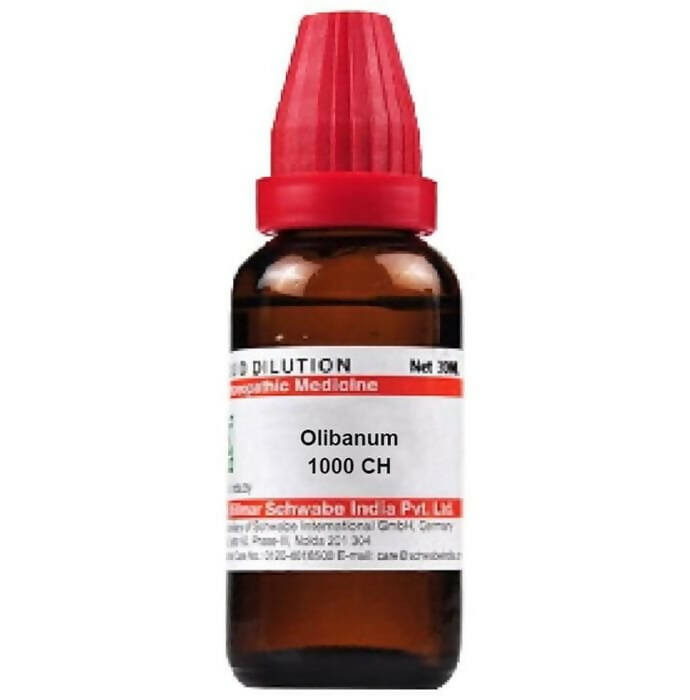 Dr. Willmar Schwabe India Olibanum Dilution | Grocsy