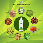 Dr. Sarkar's Allen Ayur Herbals Aloe Allen Ayurvedic Body Lotion | Grocsy