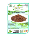 Organicgreen Herb Talmakhana Seeds | Grocsy