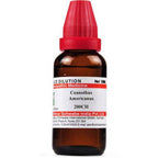 Dr. Willmar Schwabe India Ceanothus Americanus Dilution | Grocsy