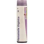 Boiron Homeopathy Hamamelis Virginica | Grocsy
