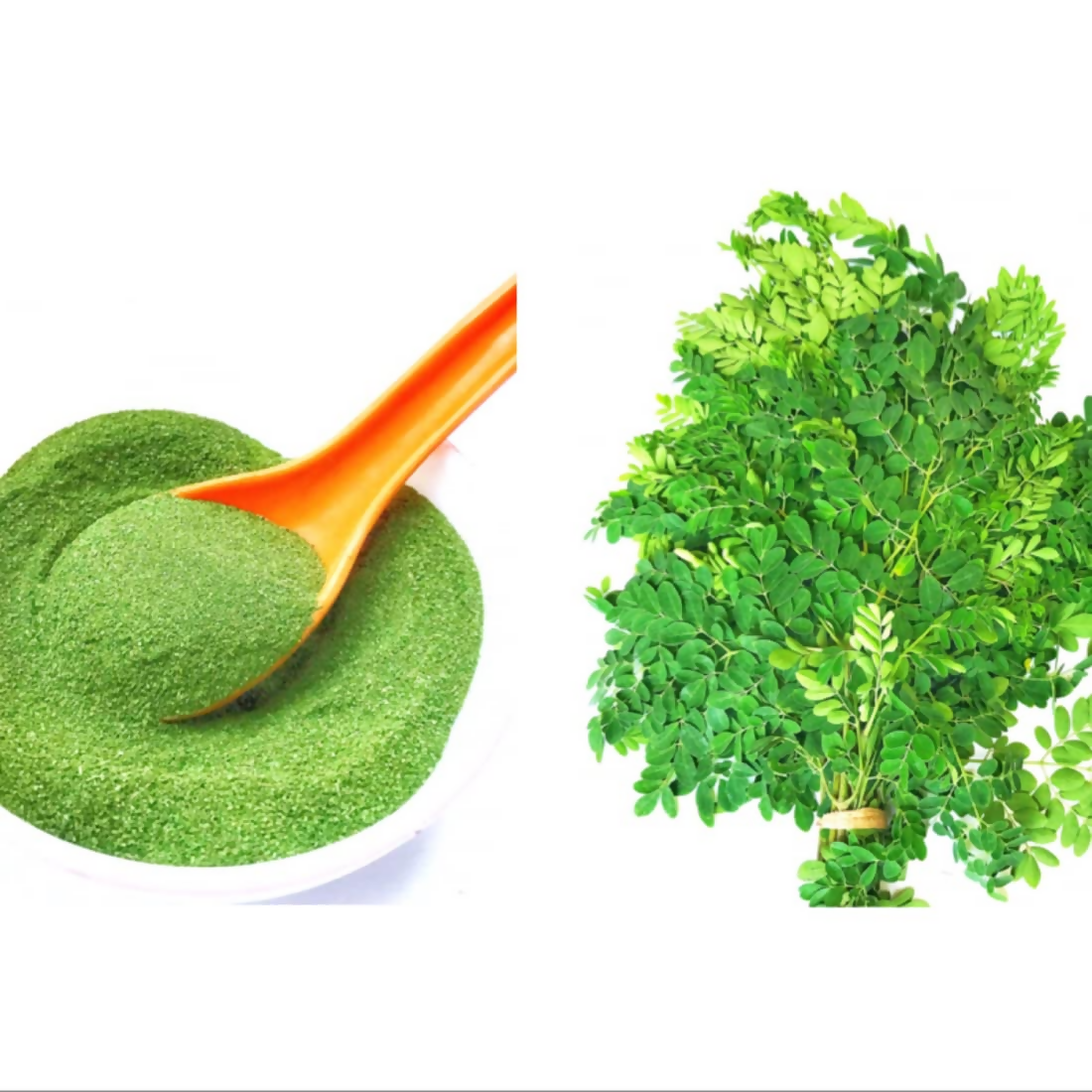 Village-Organica Moringa Powder | Grocsy