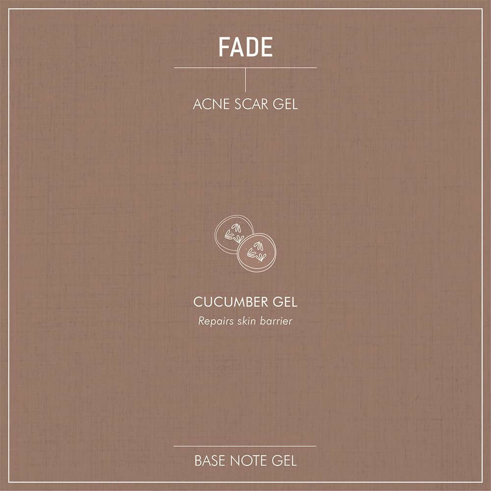 Secret Alchemist Fade Acne Scar Gel | Grocsy