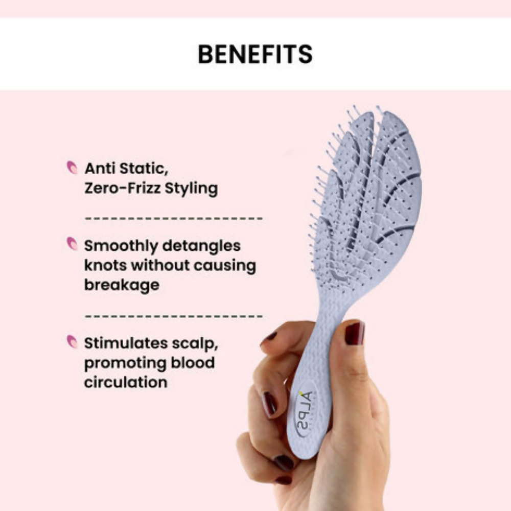 Alps Goodness Wheatstraw Detangler Brush | Grocsy