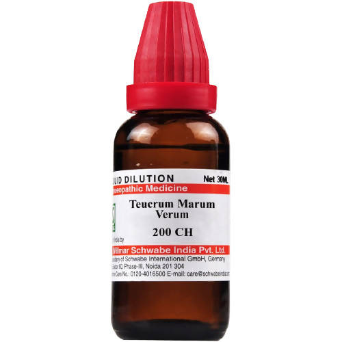 Dr. Willmar Schwabe India Teucrium Marum Verum Dilution | Grocsy