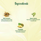Biotique Bio Pineapple Oil Control Foaming Face Wash | Grocsy