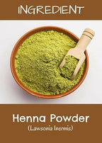 MR Ayurveda Henna Leaf Powder | Grocsy