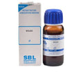 SBL Homeopathy Boldo Mother Tincture Q | Grocsy