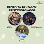 Myherb Plant Protein Powder, Pea And Brown Rice Protein Powder - Chocolate Flavour