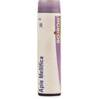 Boiron Homeopathy Apis Mellifica | Grocsy