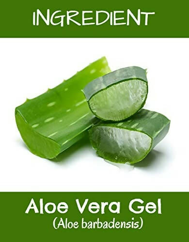 MR Ayurveda Aloe Vera Gel | Grocsy