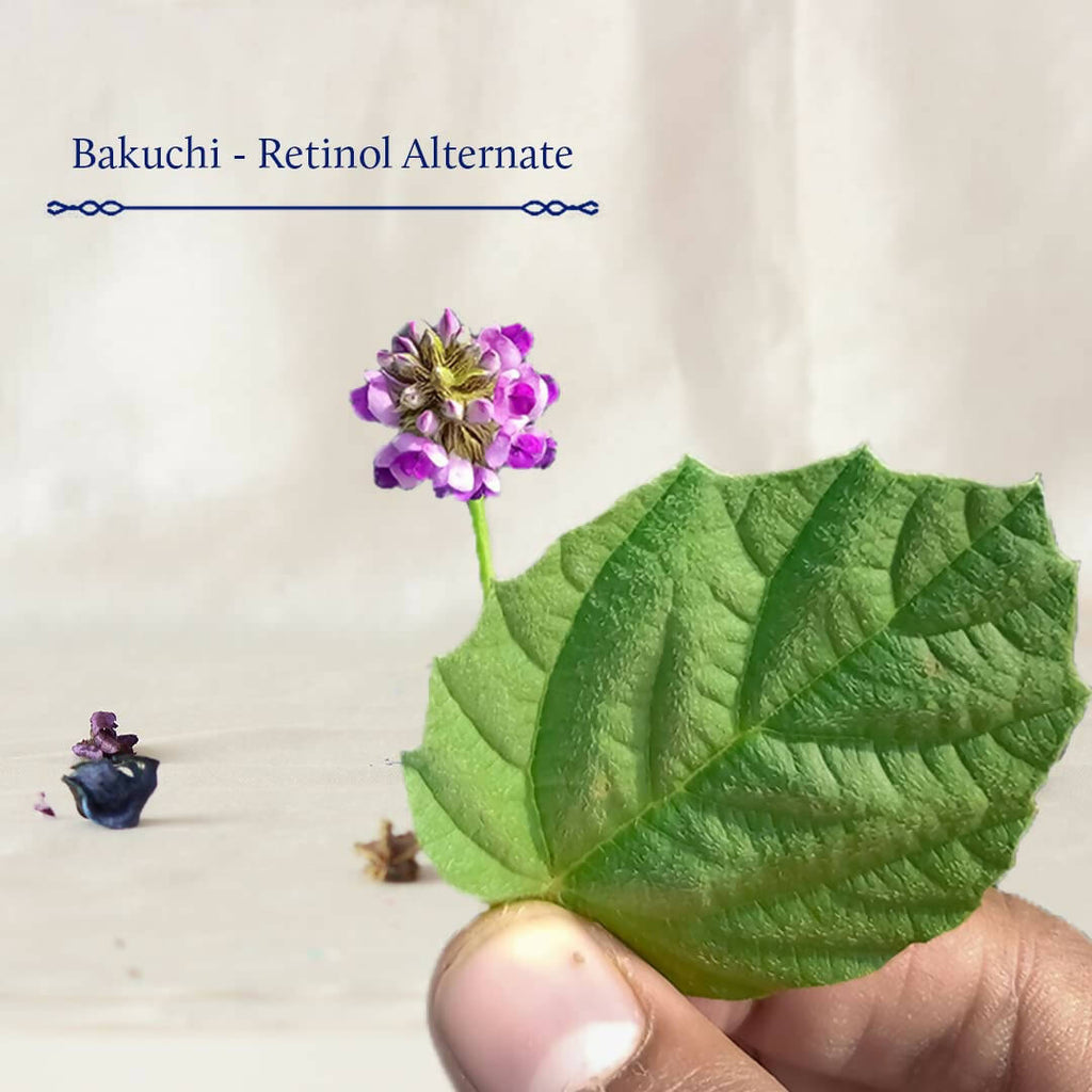 Blue Nectar Shubhr Bakuchi Face Serum for Youthful Skin | Grocsy