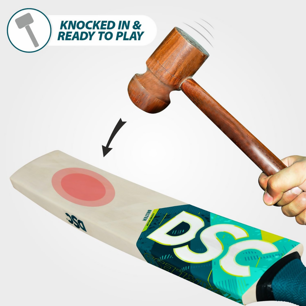 DSC Belter Wood Kashmir Willow Cricket Bat | Grocsy