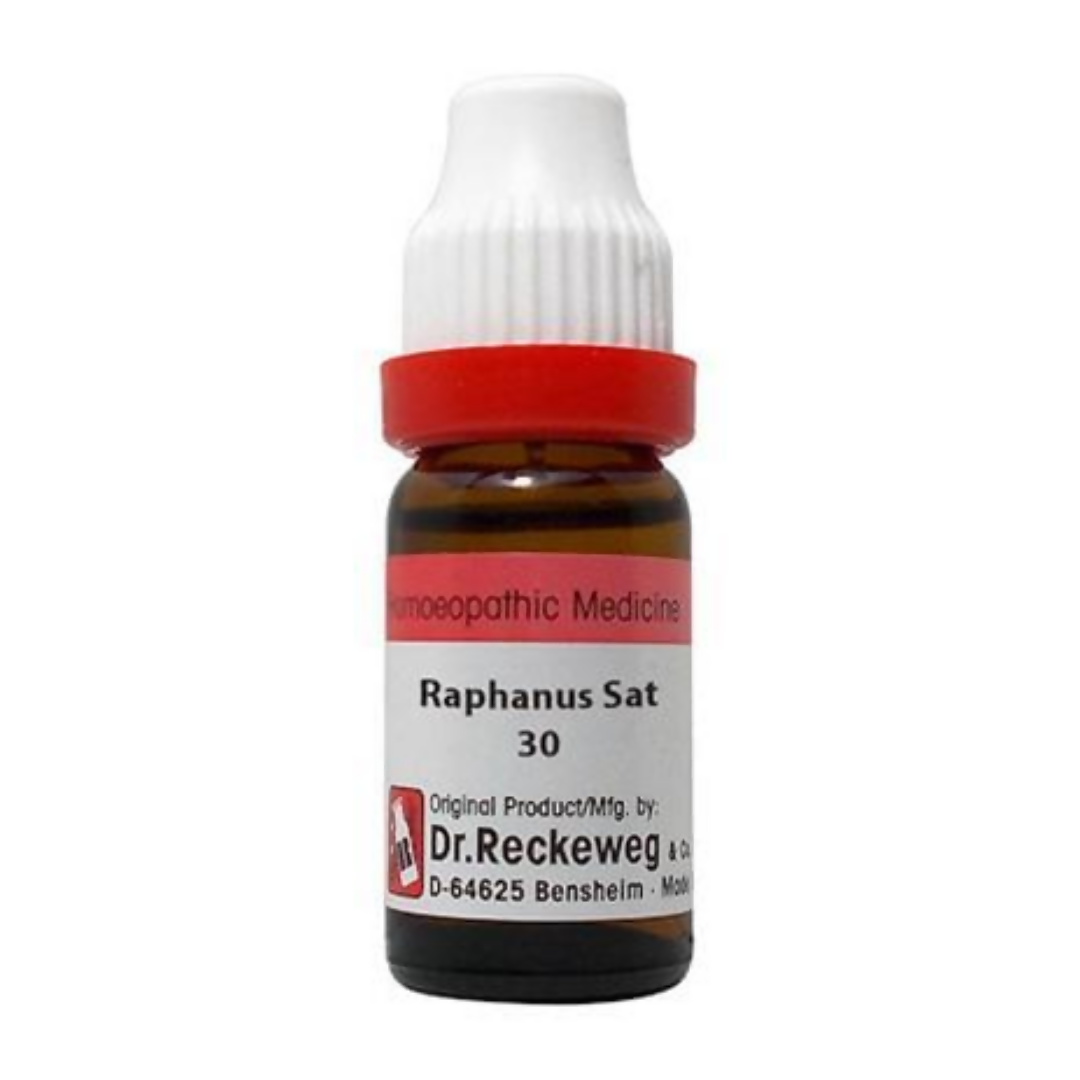 Dr. Reckeweg Raphanus Sativus Dilution | Grocsy
