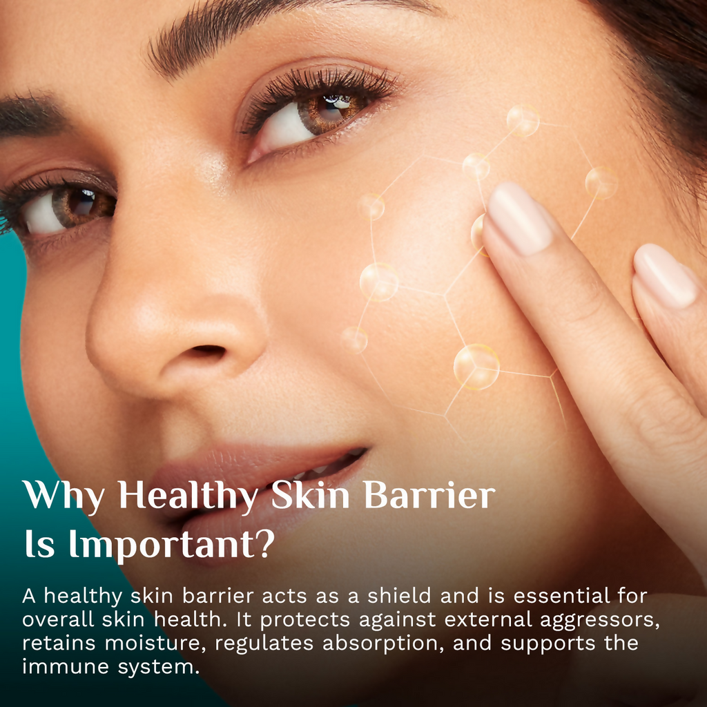 Pilgrim 5 Ceramides Barrier Repair Moisturizer | Grocsy
